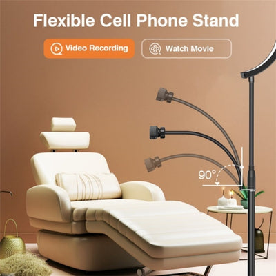 Floor Standing LED Moon Lamp + Phone Holder
